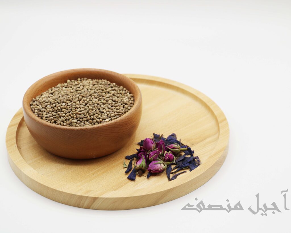 شاهدانه