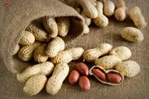 10 خاصیت بادام زمینی که باید بدانید 10 خاصیت بادام زمینی که باید بدانید